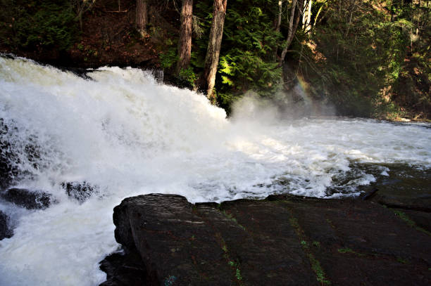 istock Spray of Water 1214351492
