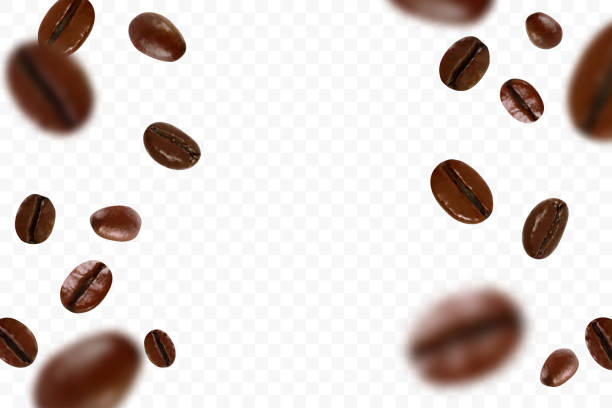 Falling realistic coffee beans isolated on transparent background. Flying defocusing coffee grains. Applicable for cafe advertising, package, menu design. Vector illustration. Falling realistic coffee beans isolated on transparent background. Flying defocusing coffee grains. Applicable for cafe advertising. Vector illustration. texture cafe stock illustrations