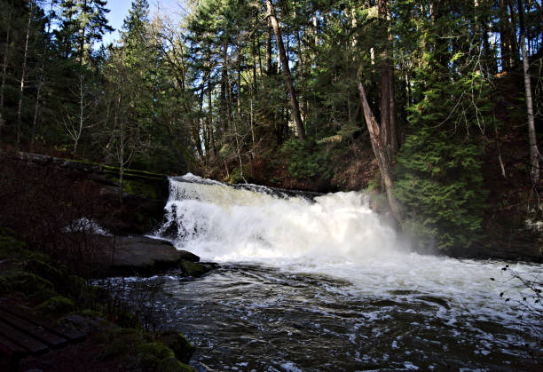 istock Beauty in Nature - Waterfall 1214353072