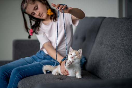 A young girl sits on a couch and plays with an orange and white cat.  She has a blue string and is trying to entertain the cat.  The young girl is wearing a white t-shirt and jeans.