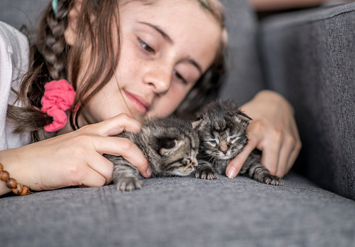 A young girl is laying on a sofa playing with two baby kittens.  The grey and black kittens are resting on the couch as the girl admires and pets them.