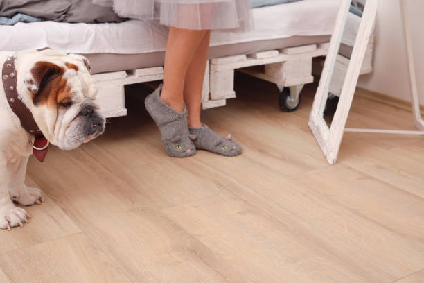 istock Coronavirus quarantine and pets. Challenges of isolation. Dog needs for a walk 1214354565