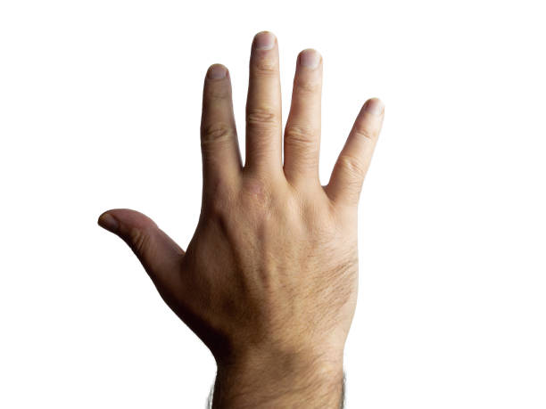 istock Male brutal hairy hand showing five on an isolated background 1214356830