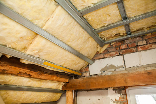 istock Finishing the attic, preparing the ceiling for mounting plasterboard panels 1214356858