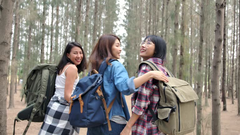 Girlfriends are talking and camping in the pine forest