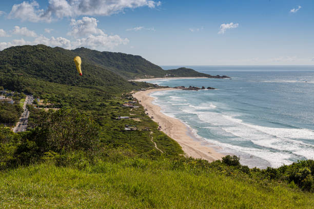 istock A view of Praia Mole (Mole beach) and Galheta  - popular beachs in Florianopolis, Brazil 1214357276