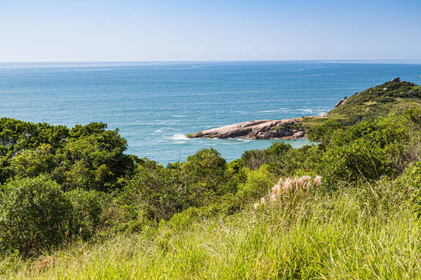istock A view of Praia Mole (Mole beach) and Galheta  - popular beachs in Florianopolis, Brazil 1214358081