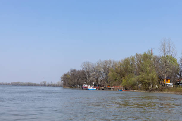 istock Danube River With Forest In The Background On The Sunny Day 1214358488