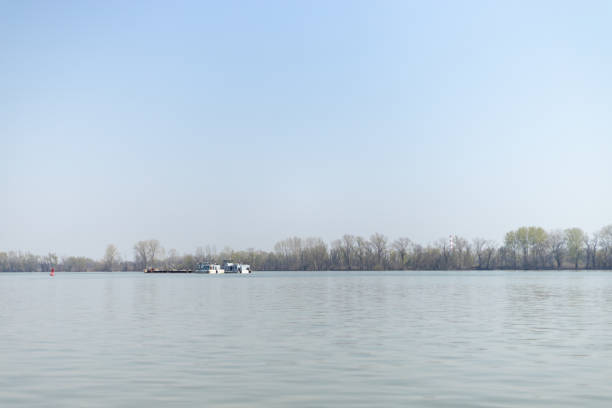 Danube River With Forest In The Background On The Sunny Day.