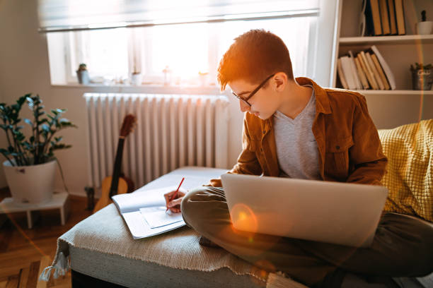 Teenage boy attending to online school class Teenage boy sitting on sofa, using laptop and writing notes during online classes. teenage boys stock pictures, royalty-free photos & images