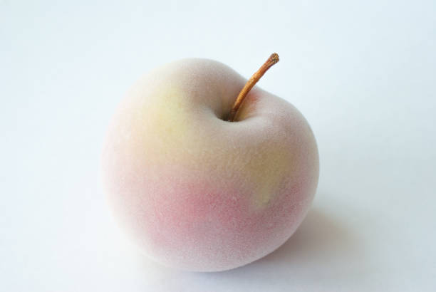 apple covered with frost over white