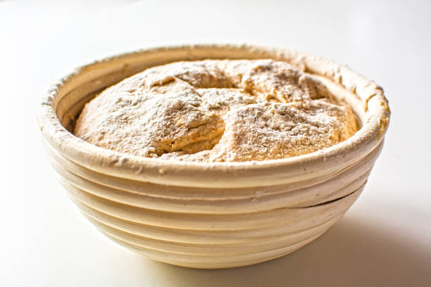 Bread dough loaf raw in proofing basket (banetton) before cooking, whole wheat recipe