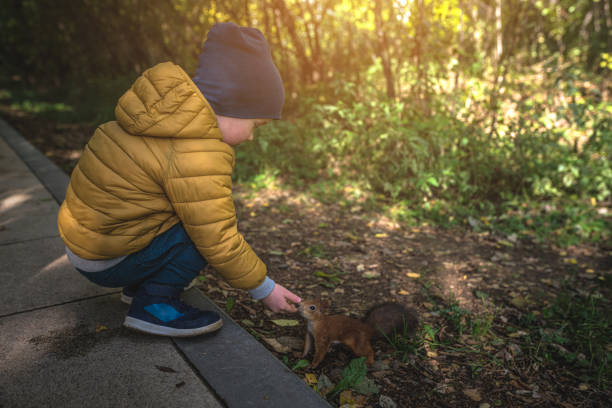istock Little boy feeds a squirrel in the forest 1214366930