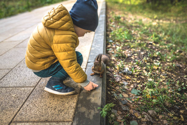 istock Little boy feeds a squirrel in the forest 1214366957
