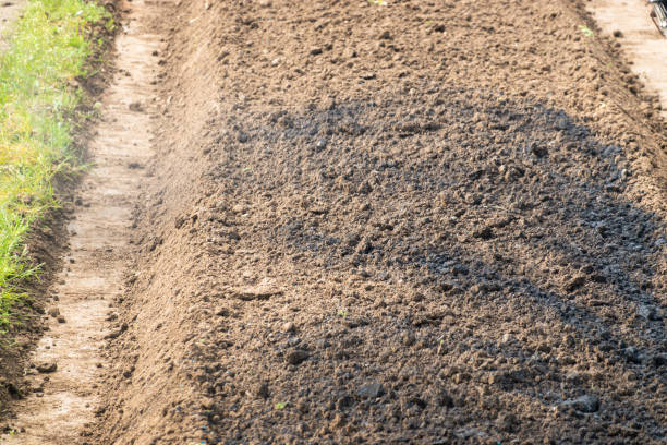 istock Vegetable field with phosphate fertilizer and seeds mixed together 1214371676