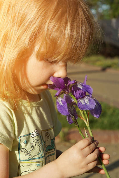 小さな女の子が花を嗅ぎます。 - iris single flower flower outdoors ストックフォトと画像