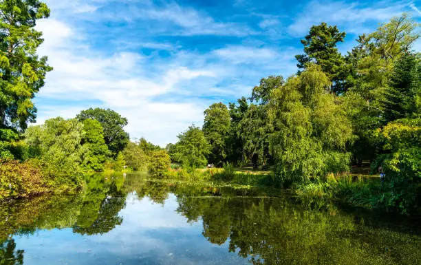 Lake at Kew Botanic Gardens in London, England