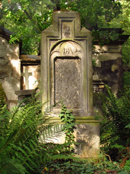 istock Old tombstone with missing names overgrown with ferns 1214378529