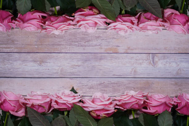 istock Pink roses on wooden background. Empty space for design. 1214384246