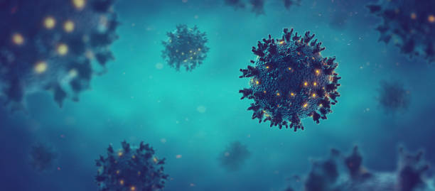 fotografii de stoc, fotografii și imagini scutite de redevențe cu coronavirus covid-19 sars-cov-2 concept imagine. - covid 19