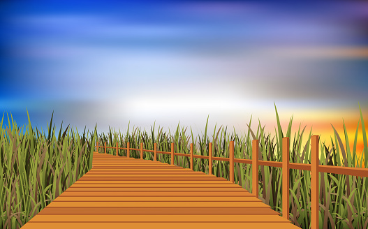 Wooden walkway at the meadow in the morning