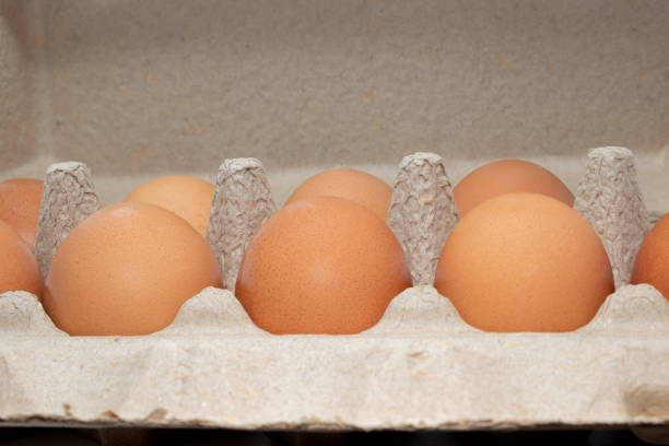 istock Farm raw fresh healthy egg in pack on white background 1214386128