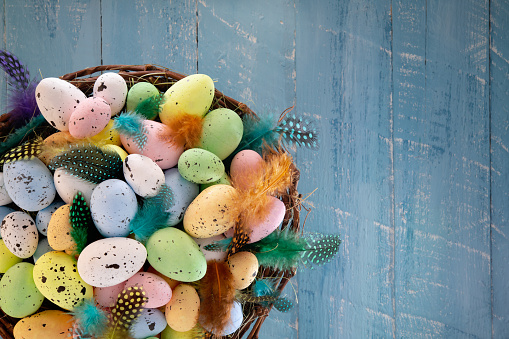 Easter eggs in a nest with colorful feathers on blue wooden background