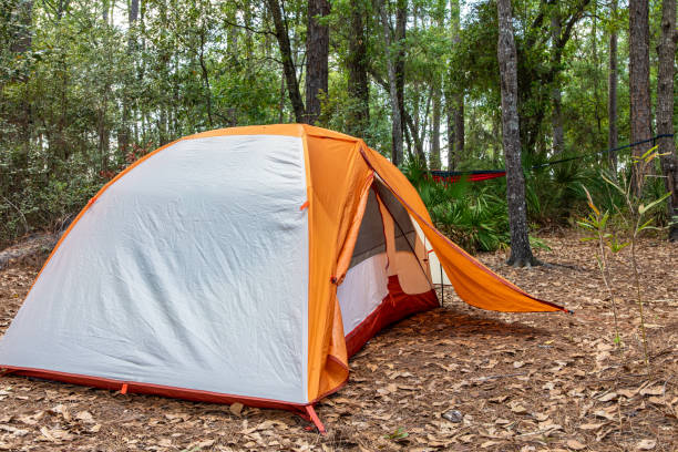 istock Campsite with Tent and Hammock 1214388116