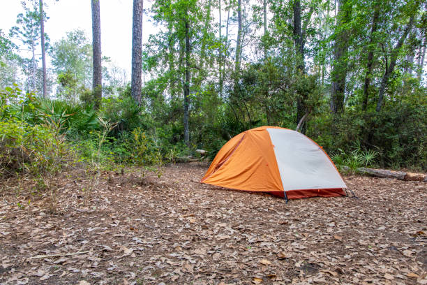 istock Tent in Georgia Forest 1214388154