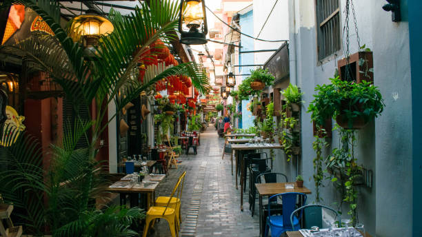 Psah Chas Alley in Krong Siem Reap Cambodia Quiet little street covered with plants in Siem Reap. It looks like it fell out of France as it retains its old French heritage. siem reap stock pictures, royalty-free photos & images