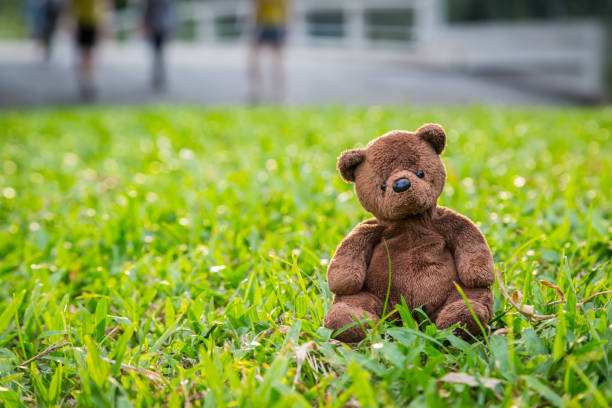 istock Brown bear doll sitting alone on the lawn 1214392336
