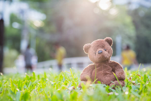 istock Brown bear doll sitting alone on the lawn 1214392342