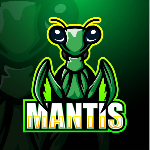 Mantis mascot esport logo design Vector illustration of Mantis mascot esport logo design praying mantis stock illustrations