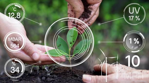 istock Smart digital agriculture technology by futuristic sensor data collection 1214405388