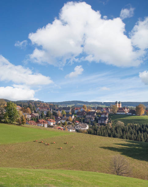 istock Saint Maergen,Black Forest,Germany 1214405474