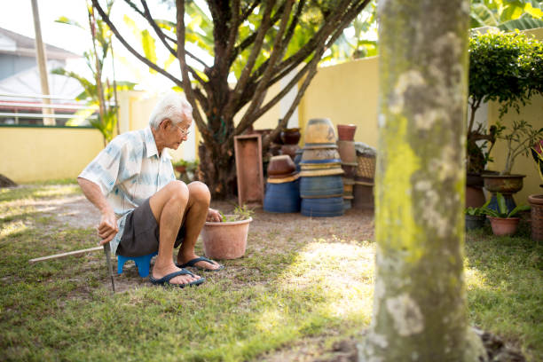 istock Happy retired male is gardening in back yard. 1214406935