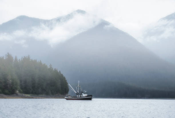 Barco de pesca de salmão comercial no sudeste do Alasca na neblina - foto de acervo