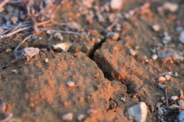 istock Stones on a deserted mountain 1214422808