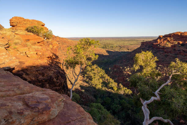 istock Kings Canyon, Northern Territory, Australia 1214433658