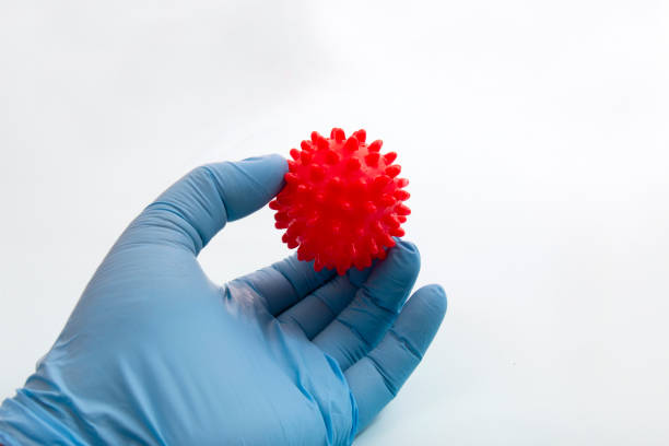 istock Doctor's hand holding red virus ball concept 1214435676
