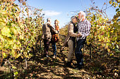 Happy senior couples enjoying in a dance at vineyard.