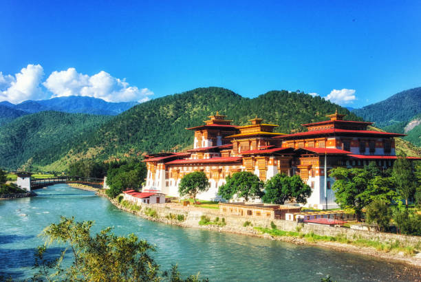 Punakha Dzong - Bhutan. Magnificent view of Punakha Dzong Fortress known as the Queen of Dzongs Punakha Dzong - Bhutan. Magnificent view of Punakha Dzong Fortress known as the Queen of Dzongs monastery religion spirituality river stock pictures, royalty-free photos & images