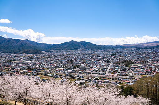 Fujiyoshida cityscape with cherry blossom tree as seen from Chureito Pagoda, Yamanashi, Japan