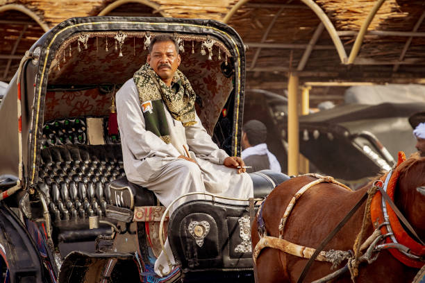 people of egypt,. portrait of egyptians in traditional clothing riding in a carriage - journey camel travel desert imagens e fotografias de stock