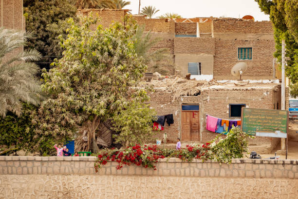 daily life in egypt. children playing, singing and cheering to get the attention of tourists passing by on daily cruises, with their small town in the background - desert egyptian culture village town imagens e fotografias de stock