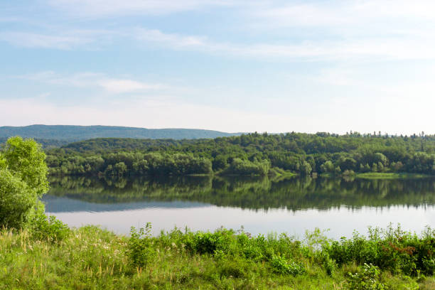 istock Natural view on a rural pond and a green forest. Clear blue sky background 1214443555