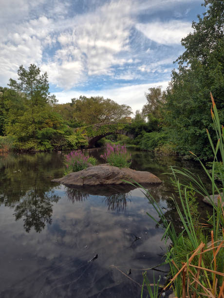 istock Gapstow Bridge in Central Park 1214445258