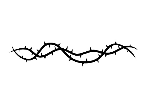 Blackthorn branches with thorns icon isolated on white background. Vector