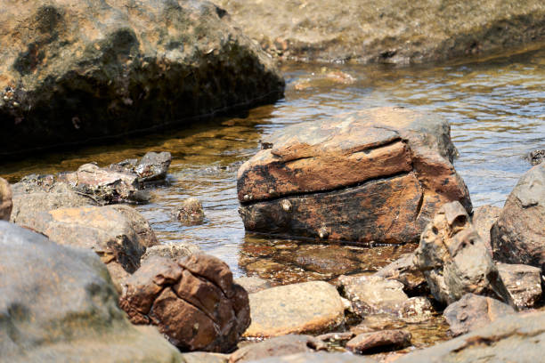 istock beautiful landscapes on beach in Thailand. 1214446981