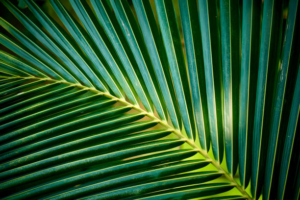 istock Beautiful lanscape nature in Thailand 1214447582